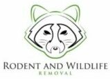 Fullerton Wildlife Removal